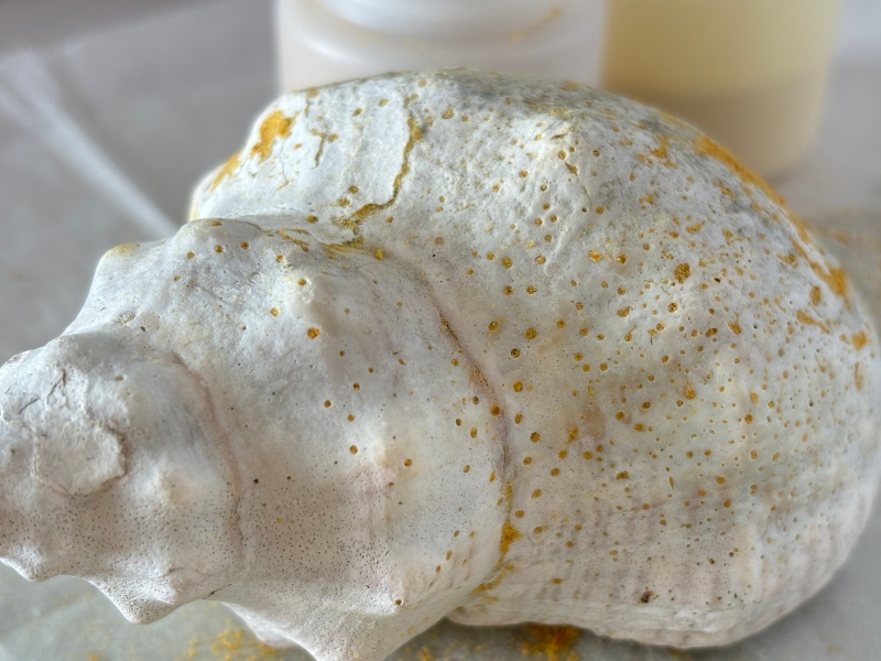 流動的記憶與地景｜莊馨怡｜國藝會補助成果檔案庫